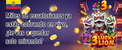 Torneo de Slots Ecuador promotion